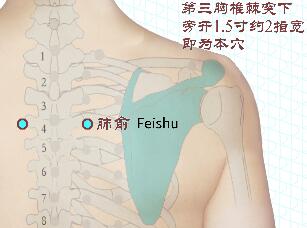 feishuxue