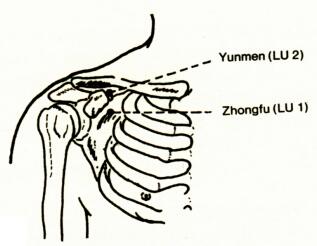 Zhongfu( LU 1) Zhongfu( LU 1)