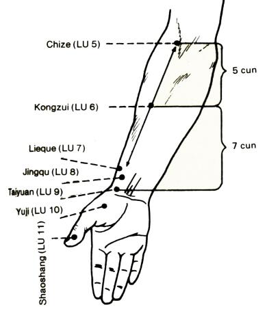 Kongzui(LU6) Kongzui(LU6)