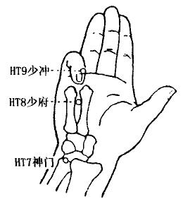 Shaofu(HT8) Shaofu(HT8)