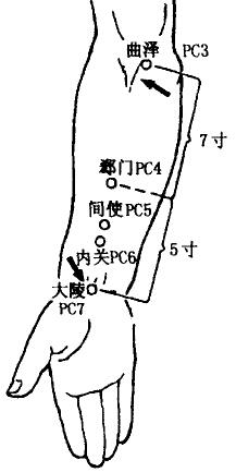 Neiguan(PC6),Daling(PC7) Neiguan(PC6),Daling(PC7)