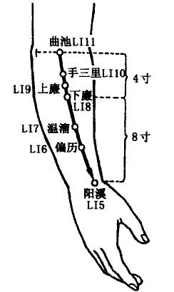 Yangxi(LI5) Yangxi(LI5)