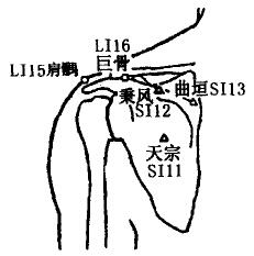 Jugu(LI16) Jugu(LI16)