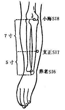 Xiaohai(SI8) Xiaohai(SI8)