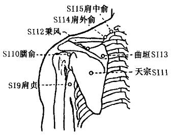 Bingfeng(SI12) Bingfeng(SI12)