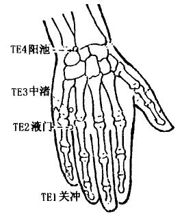 Yangchi(TE4) Yangchi(TE4)