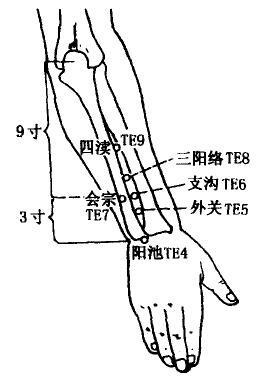 Huizong(TE7) Huizong(TE7)