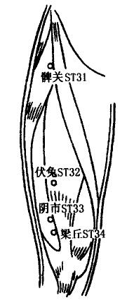 Biguan(ST31) Biguan(ST31)