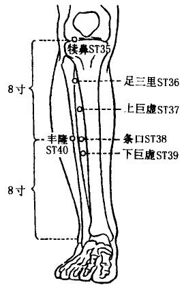 Fenglong(ST40) Fenglong(ST40)