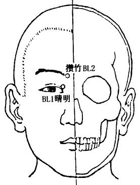 Cuanzhu(BL2) Cuanzhu(BL2)