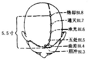 Chengguang(BL6) Chengguang(BL6)