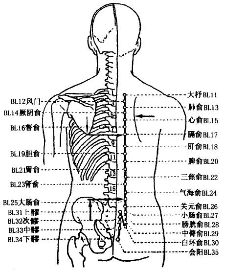 Shenshu(BL23) Shenshu(BL23)