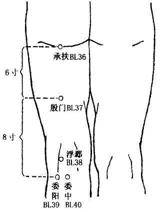 Chengfu(BL36) Chengfu(BL36)