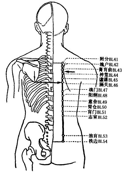 Pohu(BL42) Pohu(BL42)