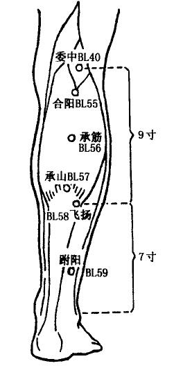 Fuyang(BL59) Fuyang(BL59)