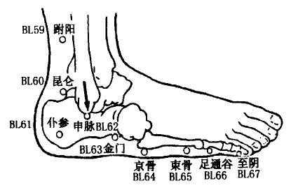 Zhiyin(BL67) Zhiyin(BL67)