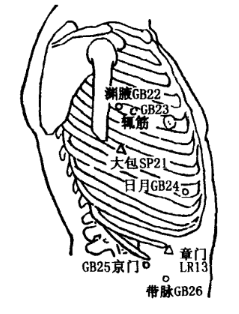 Riyue(GB24) Riyue(GB24)