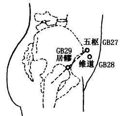 Weidao(GB28) Weidao(GB28)