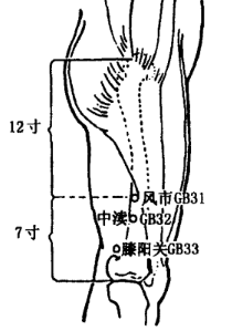 Fengshi(GB31) Fengshi(GB31)