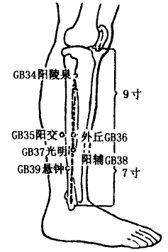 Yanglingquan(GB34) Yanglingquan(GB34)
