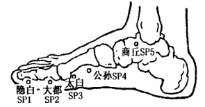 Yinbai(SP1) Yinbai(SP1)