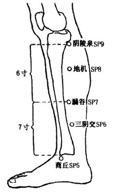 Sanyinjiao(SP6) Sanyinjiao(SP6)