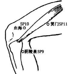 Xuehai(SP10) Xuehai(SP10)