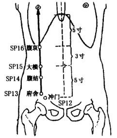 Fushe(SP13) Fushe(SP13)