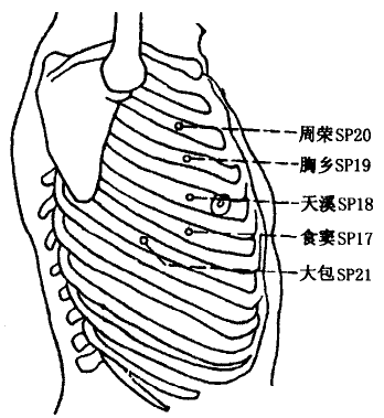 Shidou(SP17) Shidou(SP17)