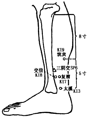 Jiaoxin(KI8) Jiaoxin(KI8)
