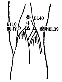 Yingu(KI10) Yingu(KI10)