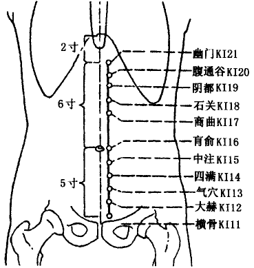 Zhongzhu(KI15) Zhongzhu(KI15)
