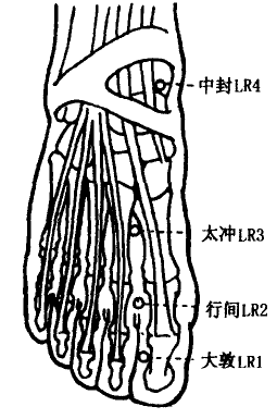 Zhongfeng(LR4) Zhongfeng(LR4)