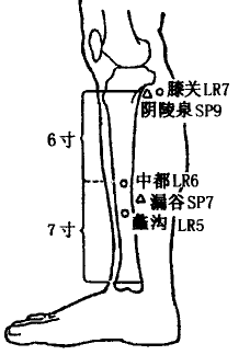 Xiguan(KR7) Xiguan(KR7)
