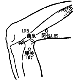 Ququan(LR8) Ququan(LR8)