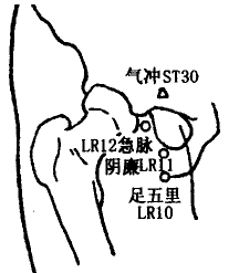 Jimai(LR12) Jimai(LR12)