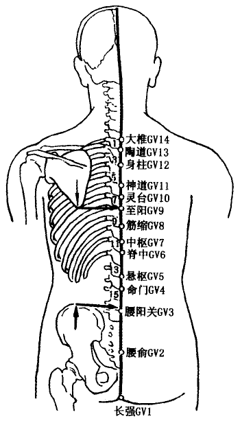 Yaoyangguan(GV3) Yaoyangguan(GV3)