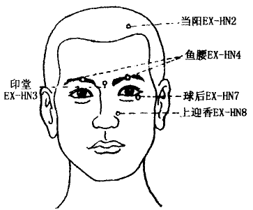 Yuyao(EX-HN4) Yuyao(EX-HN4)