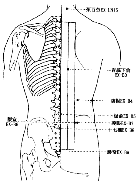 Shiqizhui(EX-B8) Shiqizhui(EX-B8)