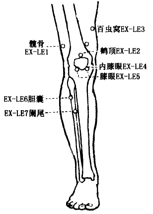 Dannang(EX-LE6) Dannang(EX-LE6)