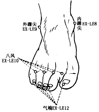 Bafeng(EX-LE10) Bafeng(EX-LE10)