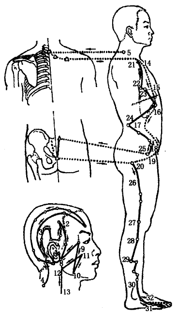 The Gallbladder Meridian of Foot Shaoyang The Gallbladder Meridian of Foot Shaoyang