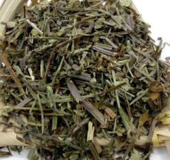 Banzhilian(Herba Scutellariae Barbatae) Banzhilian(Herba Scutellariae Barbatae)