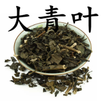 Daqingye(Folium Isatidis) Daqingye(Folium Isatidis)