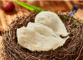 Bird nest Bird nest